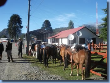 Chile-Argentinien reitabenteuer in den Anden